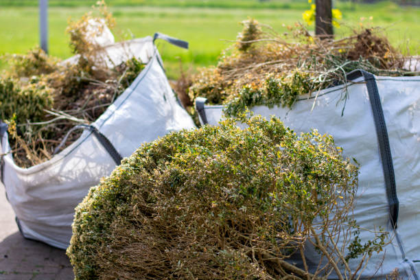 Trash Removal Near Me in Vallejo, CA